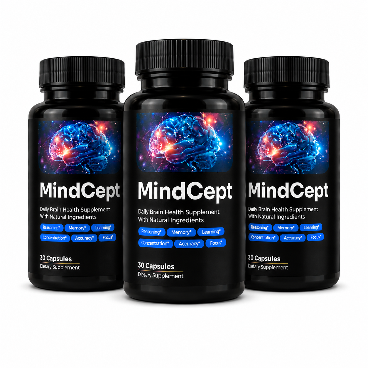 Mindcept (3)